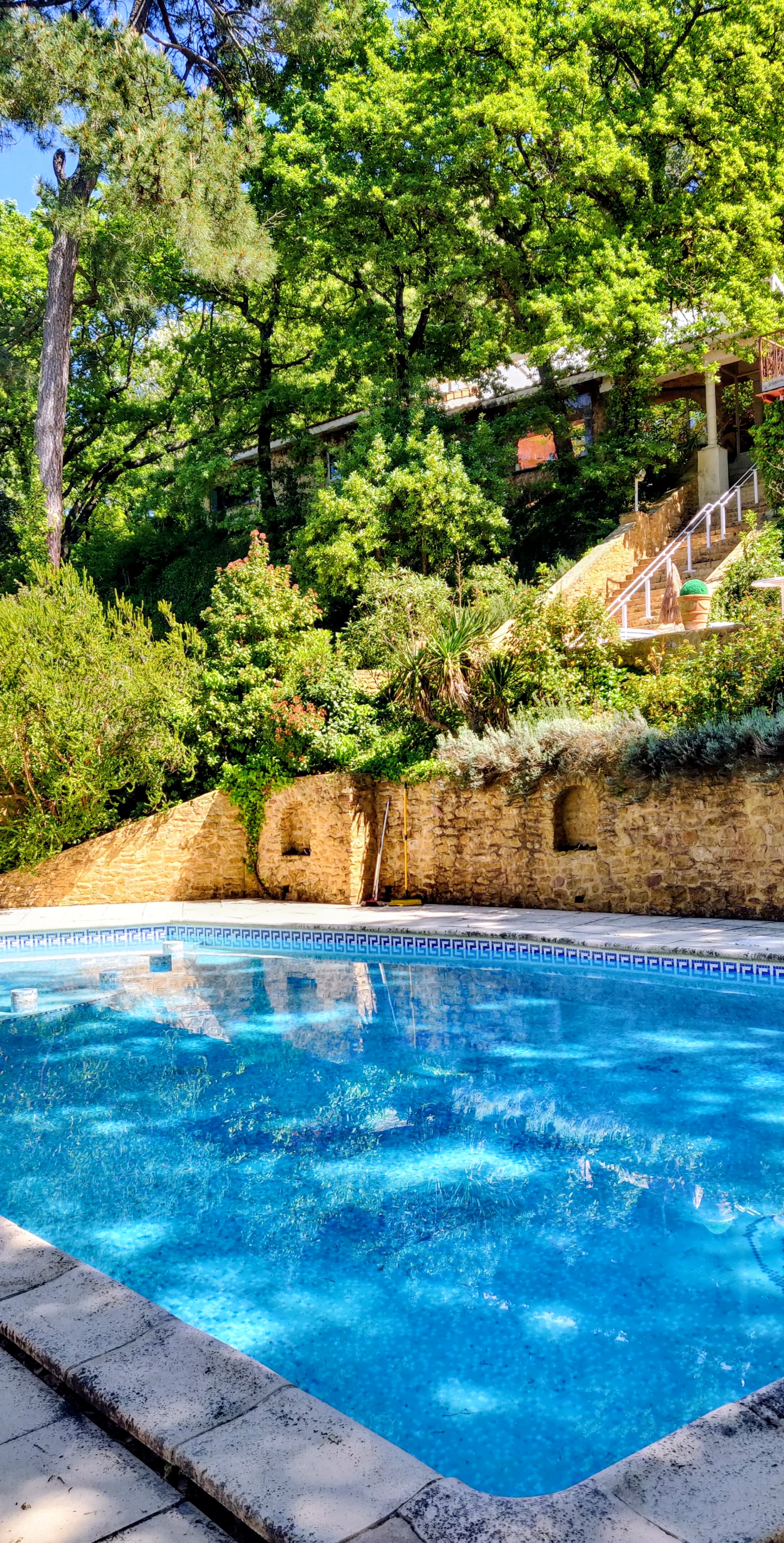 Piscine dans le jardin